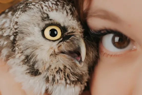 Cazino AllStar Slots Cazinou Suport